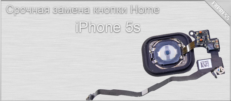        iphone 5c