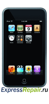 ремонт Apple ipod touchи айпод сласик Apple iPod touch