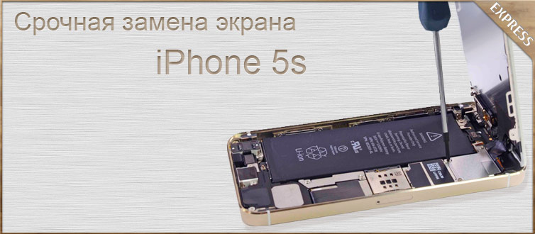      iphone 5s