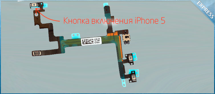    iphone 5